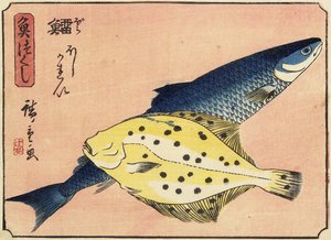 Cod and Halibut