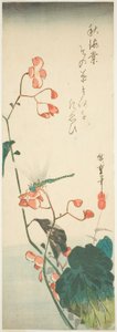 Dragonfly and Begonia by Utagawa Hiroshige