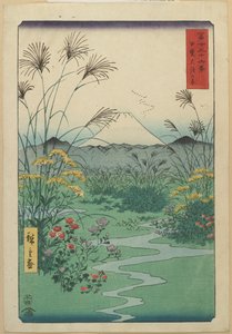 Field at Otsuki in Kai Province, April 1858 by Utagawa Hiroshige