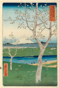 Fuji from Koshigaya, Mushashi, No.14 from the Series 