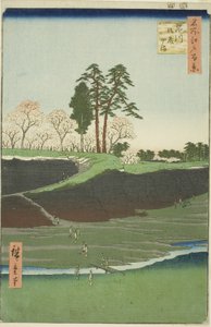 Goten Hill at Shinagawa (Shinagawa Gotenyama), from the series "One Hundred Famous Views of Edo (Meisho Edo hyakkei)" by Utagawa Hiroshige
