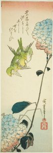 Green birds and hydrangeas by Utagawa Hiroshige
