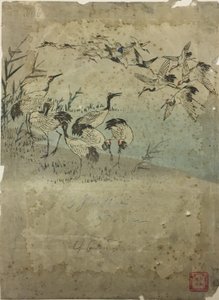 Herons Among Grasses