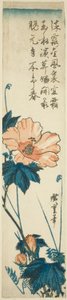 Hibiscus by Utagawa Hiroshige