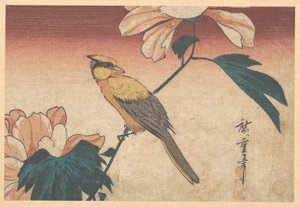 Hibiscus Mutabilis and Jay by Utagawa Hiroshige
