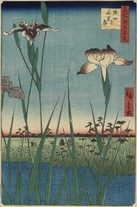 Iris Garden at Horikiri