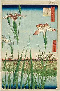 Irises at Horikiri, from the series "One Hundred Famous Views of Edo" by Utagawa Hiroshige