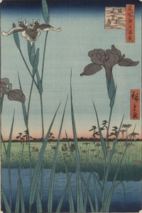 Irises of Horikiri, from the series One Hundred Famous Views of Edo by Utagawa Hiroshige