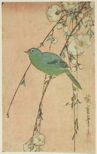Japanese White-Eye and Weeping Cherry by Utagawa Hiroshige