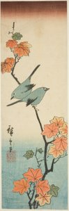 Japanese White-Eyes on a Maple Branch by Utagawa Hiroshige