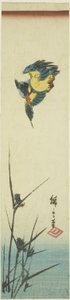 Kingfisher and Reeds by Utagawa Hiroshige