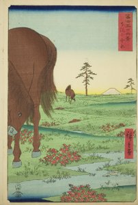 Kogane Plain in Shimosa Province, from the series 