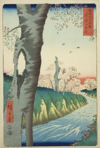 Koganei in Musashi Province (Musashi Koganei), from the Series 