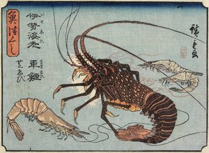 Lobster, Prawn and Shrimps, 1830-1844