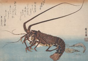 Lobster and Shrimp