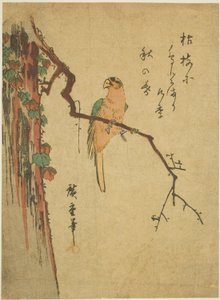 Macaw on Ivy-covered Tree by Utagawa Hiroshige