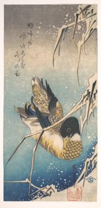Mallard and Snow-covered Reeds by Utagawa Hiroshige