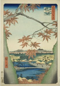 Maple Trees at Mama, Tekona Shrine and Tsugi Bridge, from the series "One Hundred Famous Views of Edo" by Utagawa Hiroshige