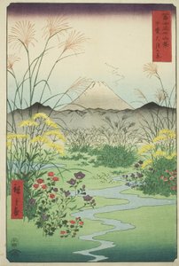 Otsuki Plain in Kai Province, from the series "Thirty-six Views of Mount Fuji" by Utagawa Hiroshige