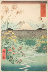 Otsuki Plain in Kai Province, from the series "Thirty-six Views of Mount Fuji" by Utagawa Hiroshige