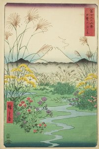 Otsuki Plain in Kai Province, from the series "Thirty-six Views of Mount Fuji" by Utagawa Hiroshige