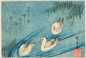 Oystercatchers by Utagawa Hiroshige