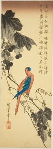 Parrot on a Grapevine by Utagawa Hiroshige