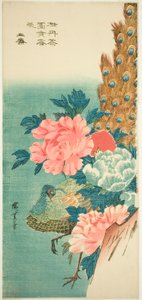 Peacock and Peonies by Utagawa Hiroshige