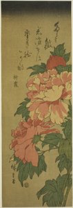 Peonies by Utagawa Hiroshige