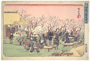 Plum Blossoms in Kameido Garden by Utagawa Hiroshige