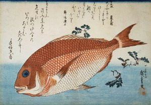 Red Sea Bream by Utagawa Hiroshige