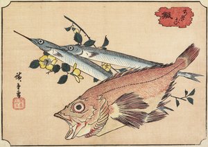 Rockfish and Halfbeak, early 19th century