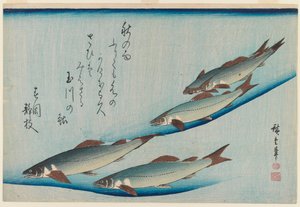 School of Five Seat Trout from the Series Fish by Utagawa Hiroshige