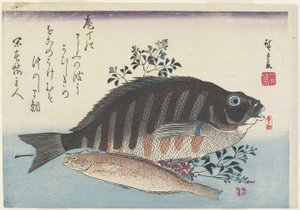 Sea Bream, Sweetfish and Nandina Branches