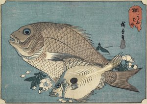 Sea Breams, Early 19th Century