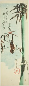 Sparrow and Bamboo