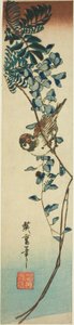 Sparrow and Wisteria by Utagawa Hiroshige