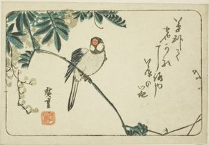 Sparrow and Wisteria by Utagawa Hiroshige