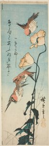 Sparrows and Poppies by Utagawa Hiroshige