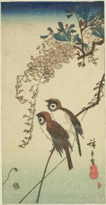 Sparrows and Wisteria by Utagawa Hiroshige