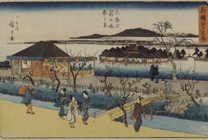 Spring View of the New Embankment at Shinobazu