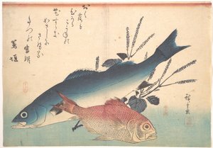 Suzuki and Kinmedai Fish from the Series Uozukushi (Every Variety of Fish) by Utagawa Hiroshige