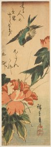 Swallow and Hibiscus by Utagawa Hiroshige