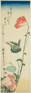 Swallow and Poppies