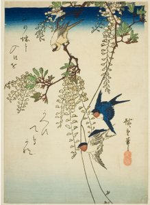 Swallow, Yellow Bird, and Wisteria by Utagawa Hiroshige