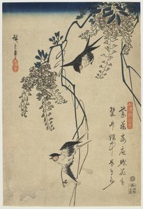 Swallows Flying through Wisteria Vines