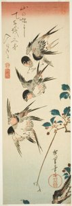 Swallows and Cherry Blossoms by Utagawa Hiroshige
