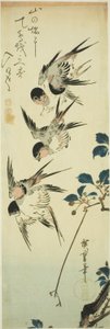 Swallows and Flowering Branch by Utagawa Hiroshige