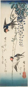 Swallows and Wisteria
