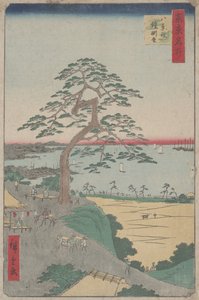 The Armour-Hanging Pine at Hakkeizaka, from 100 Views of Edo